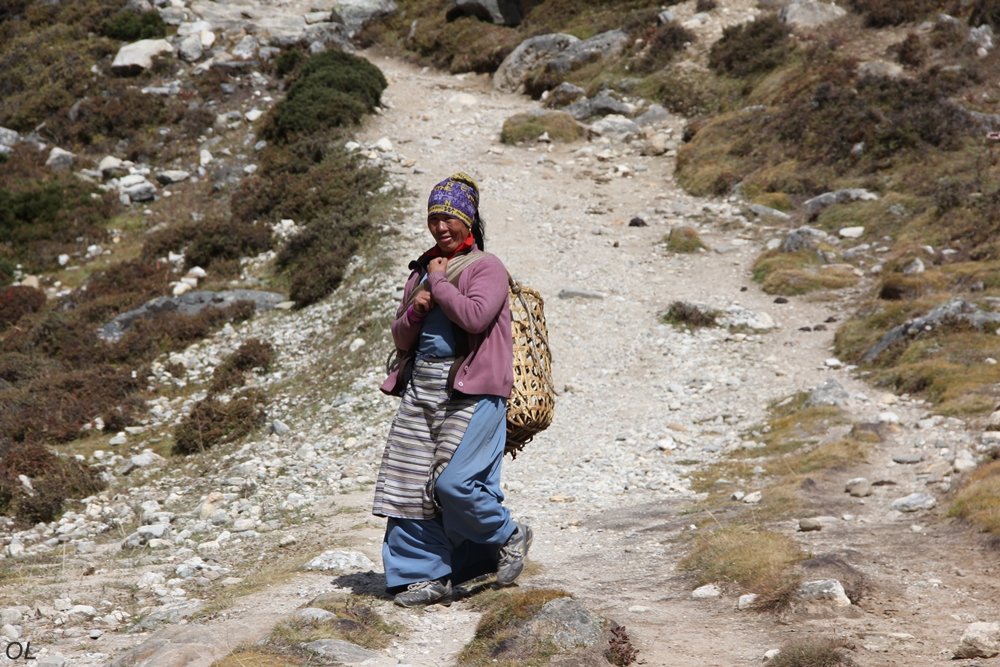 Beauty in the Mountains Beauty in the Mountains-Himalayas