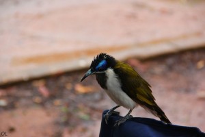 Looking at my lunch Looking at my lunch