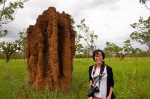 Monster Ant Nest Monster Ant Nest